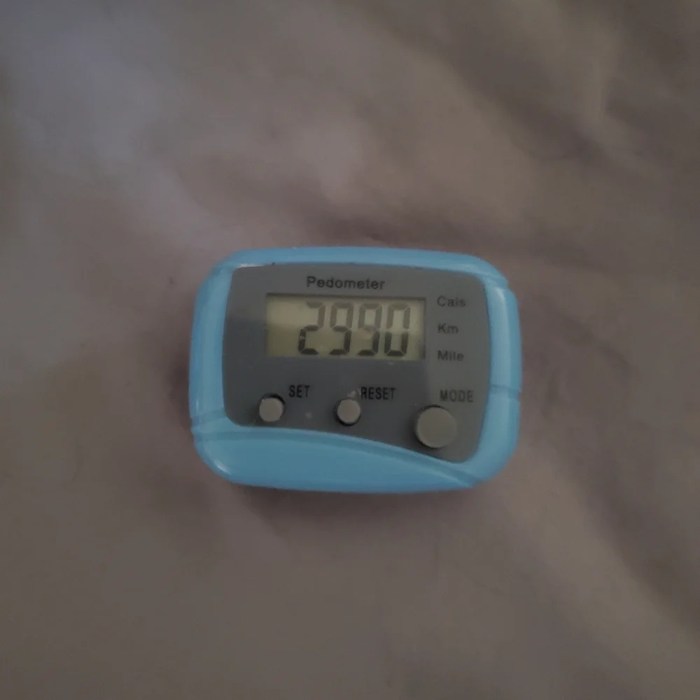Pedometer